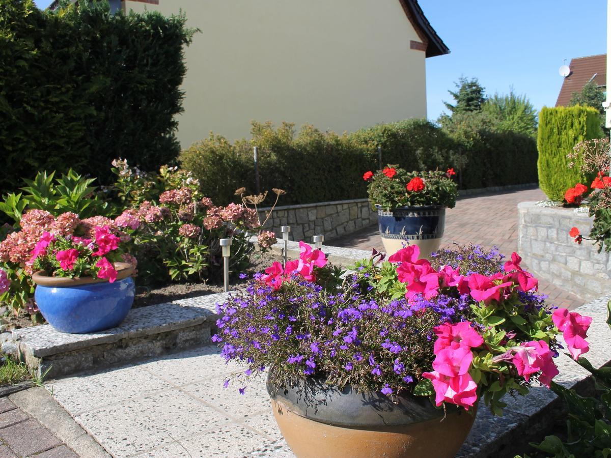 Quaint In Located By The Seaside Rerik